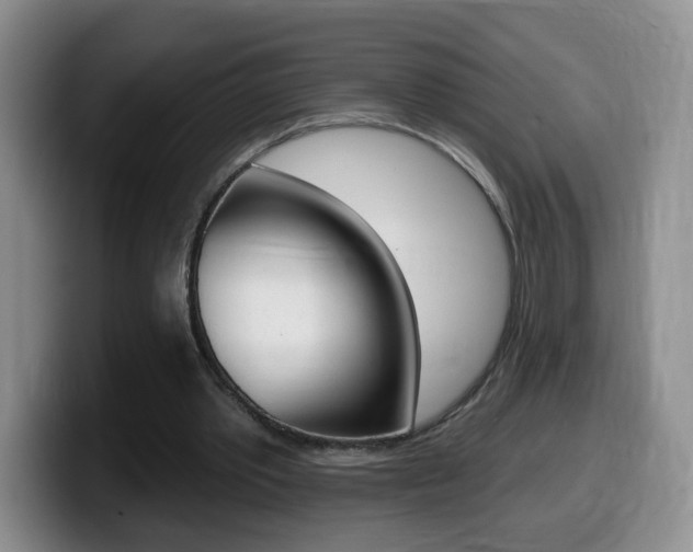 X0000099480389200805090837