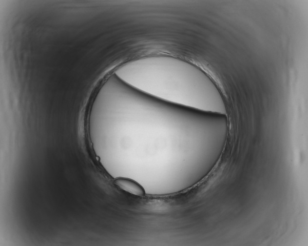X0000099480390200805090837