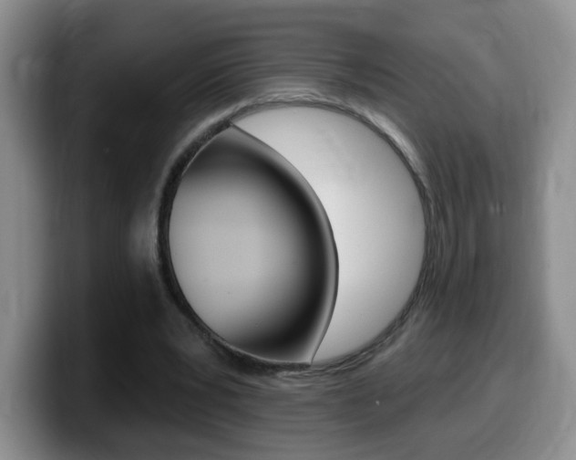 X0000099480391200805090837