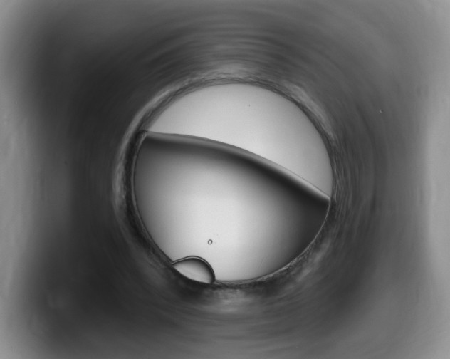 X0000099480392200805090837