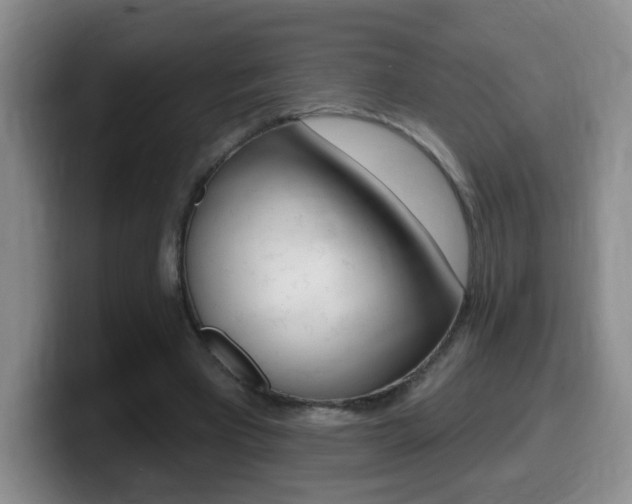 X0000099480393200805090837