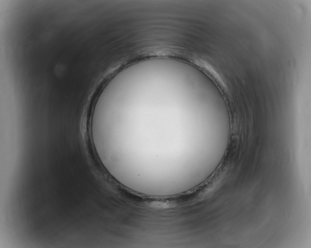 X0000099480394200805090837