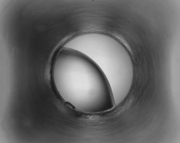 X0000099480395200805090837