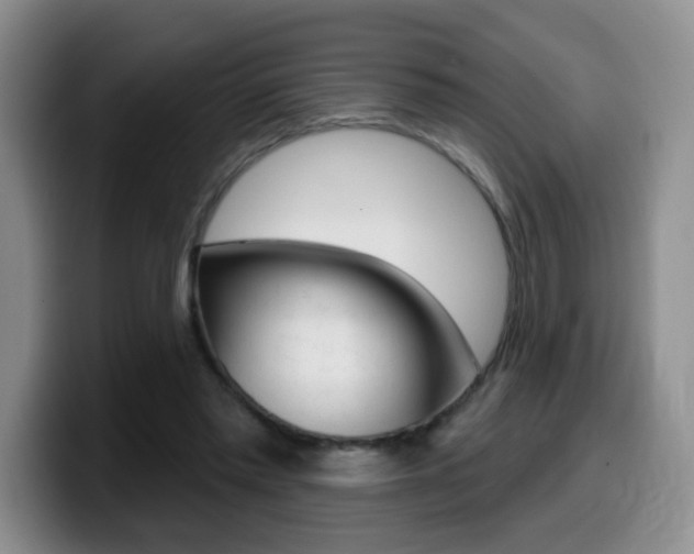 X0000099480397200805090837