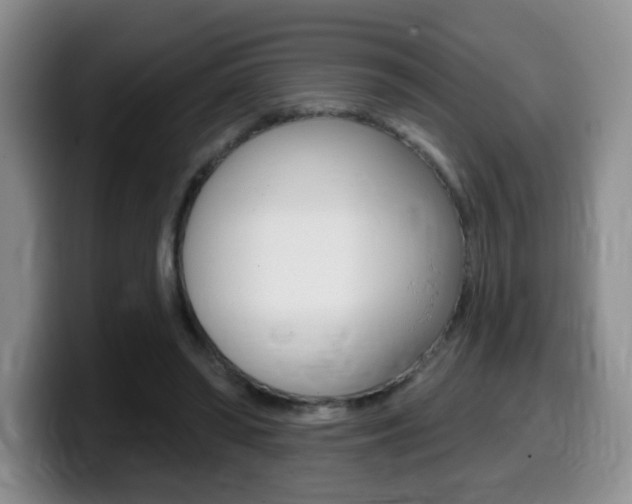 X0000099480398200805090837