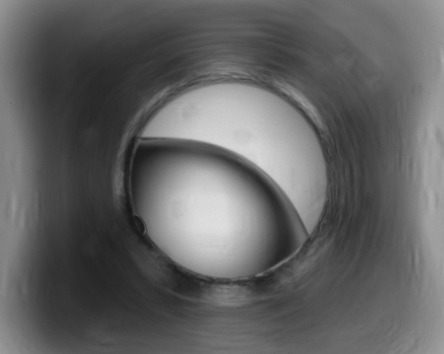 X0000099480399200805090837
