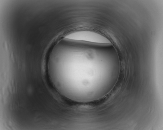 X0000099480400200805090837