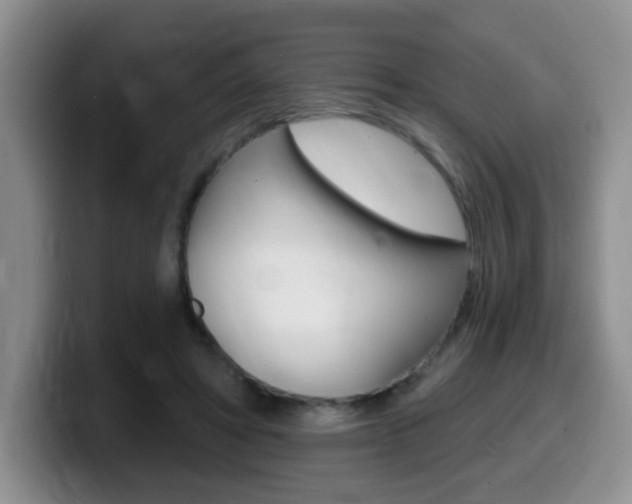 X0000099480402200805090837