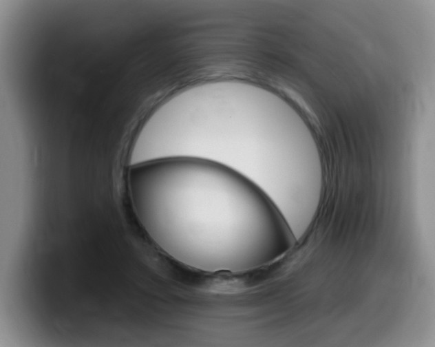 X0000099480403200805090837