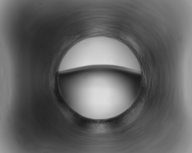 X0000099480404200805090837
