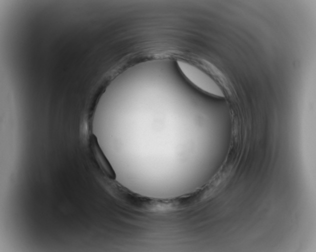 X0000099480405200805090837