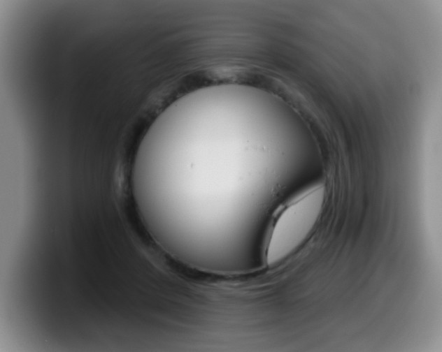 X0000099480408200805090837