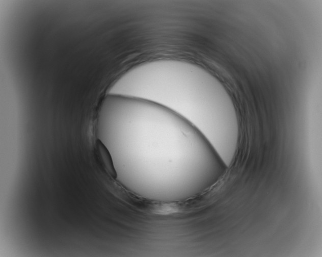 X0000099480409200805090837