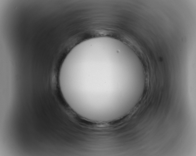 X0000099480410200805090837