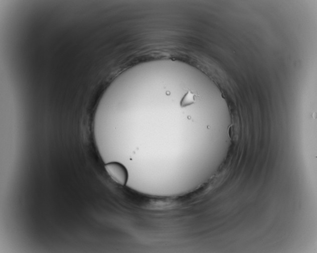 X0000099480414200805090837