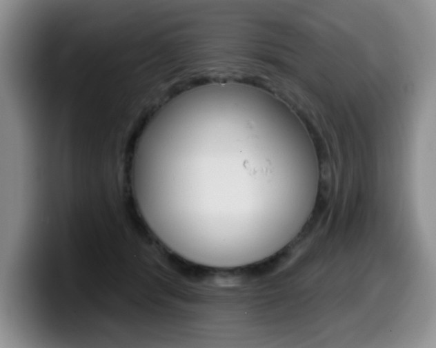 X0000099480416200805090837