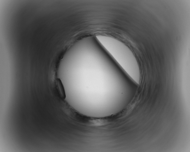 X0000099480417200805090837