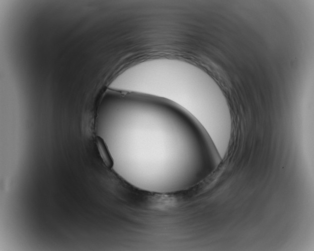 X0000099480421200805090837