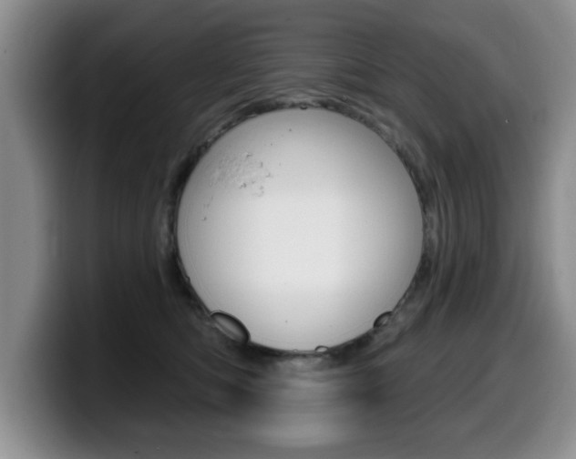 X0000099480422200805090837