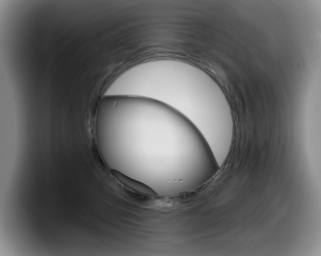 X0000099480423200805090837