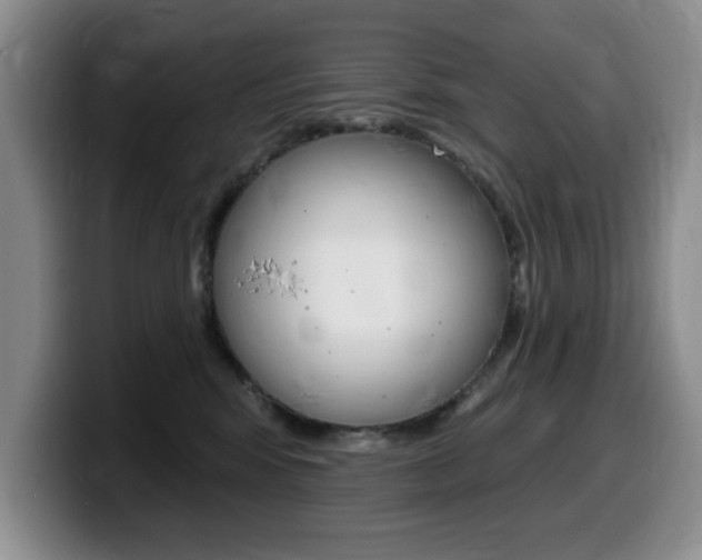 X0000099480424200805090837