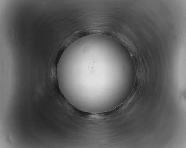 X0000099480425200805090837