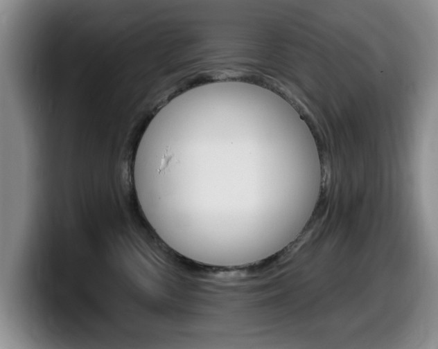 X0000099480426200805090837