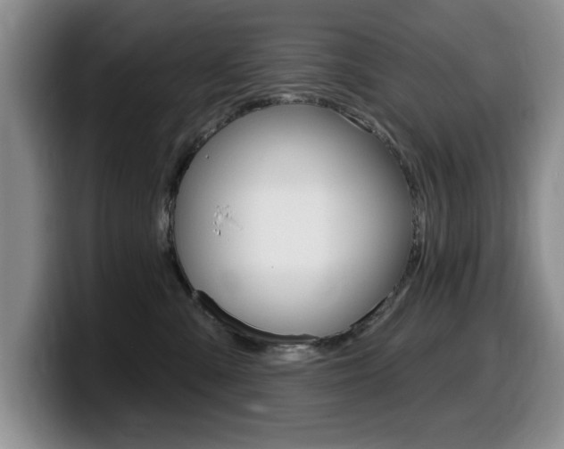 X0000099480427200805090837
