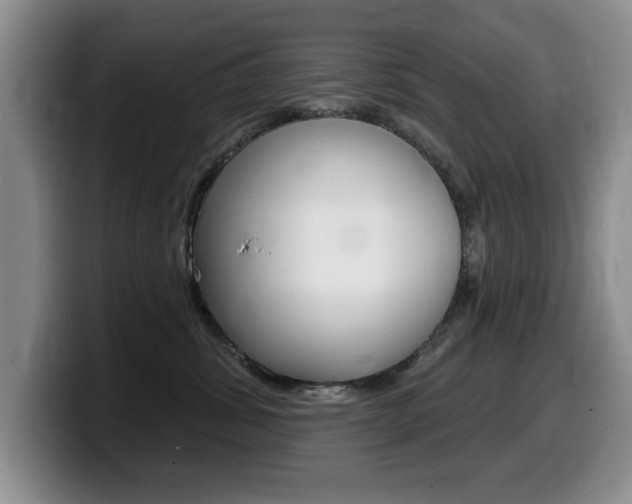 X0000099480428200805090837