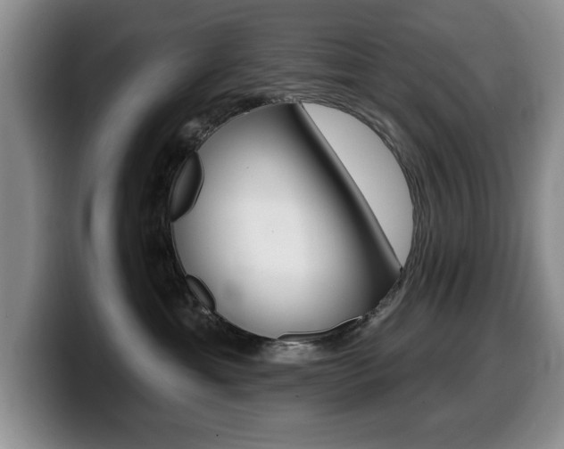 X0000099480429200805090837