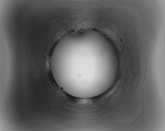 X0000099480432200805090837