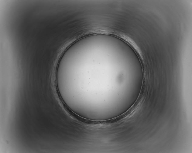 X0000099480433200805090836