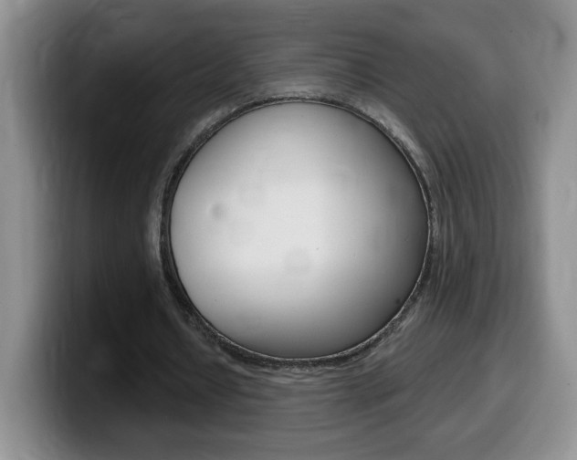 X0000099480434200805090836