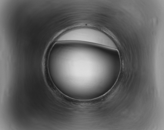 X0000099480436200805090836