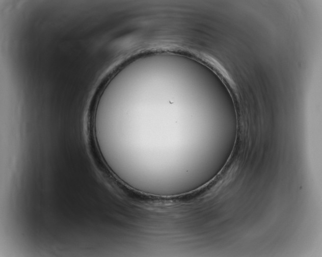X0000099480439200805090836