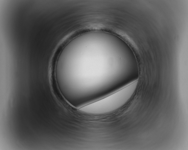 X0000099480440200805090836