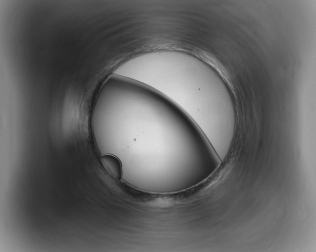 X0000099480441200805090836