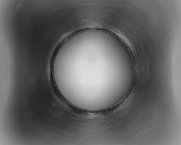 X0000099480442200805090836