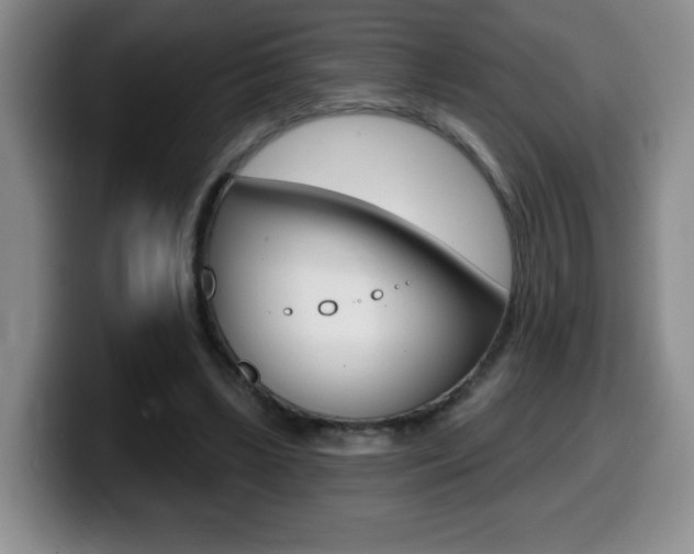 X0000099480443200805090836