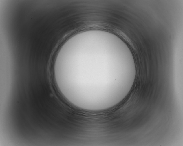 X0000099480444200805090836
