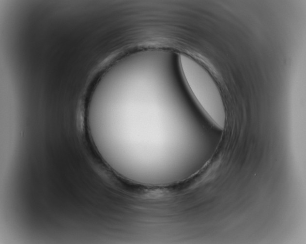 X0000099480446200805090836