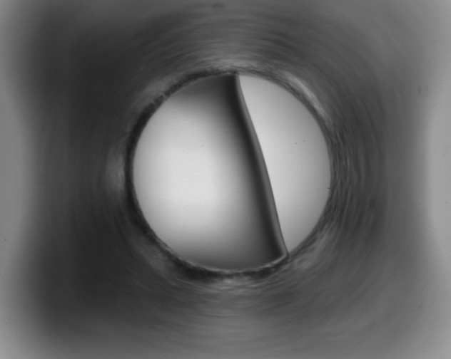X0000099480447200805090836