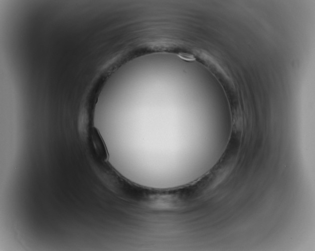 X0000099480448200805090836