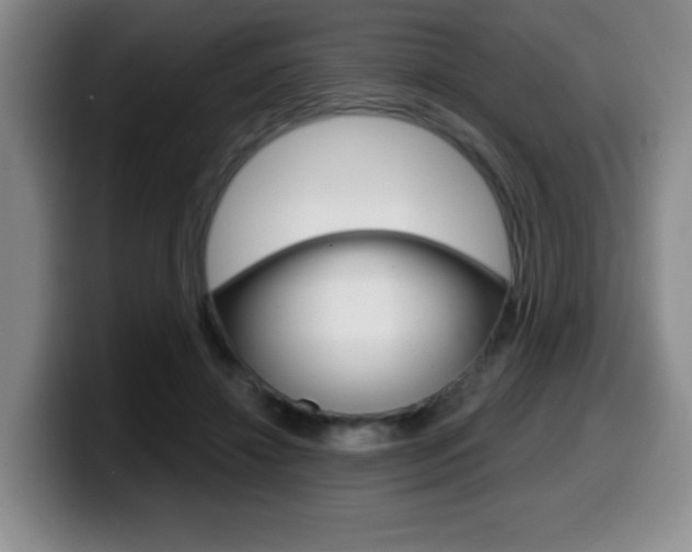 X0000099480452200805090836