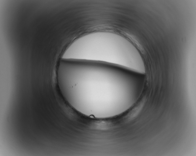 X0000099480453200805090836