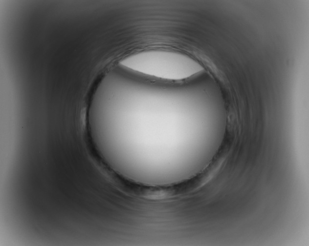 X0000099480454200805090836