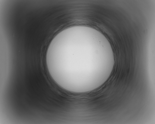 X0000099480456200805090836