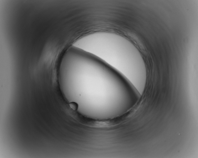 X0000099480457200805090837