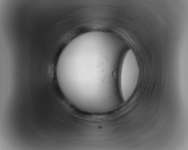 X0000099480458200805090837
