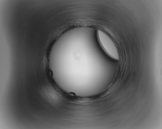 X0000099480459200805090837